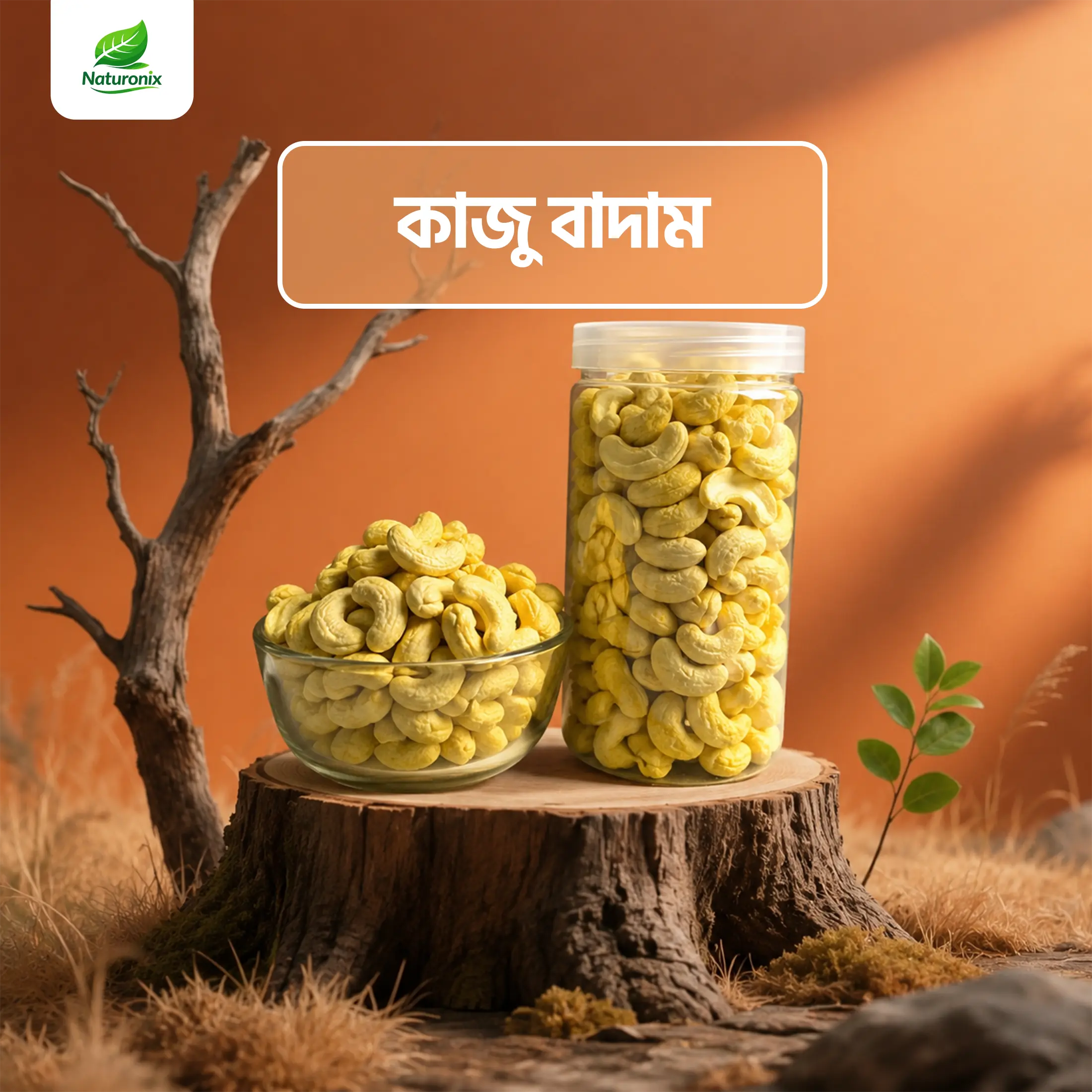 কাজুবাদাম (Cashew Nut )