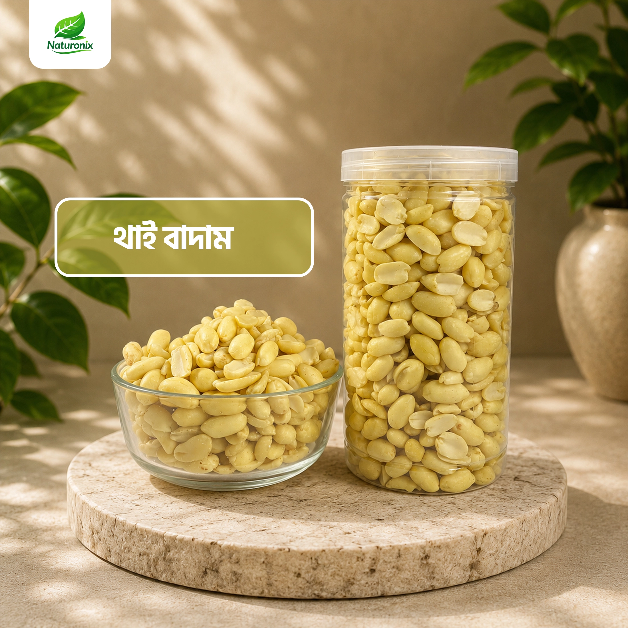 থাইবাদাম (Thai Nuts)